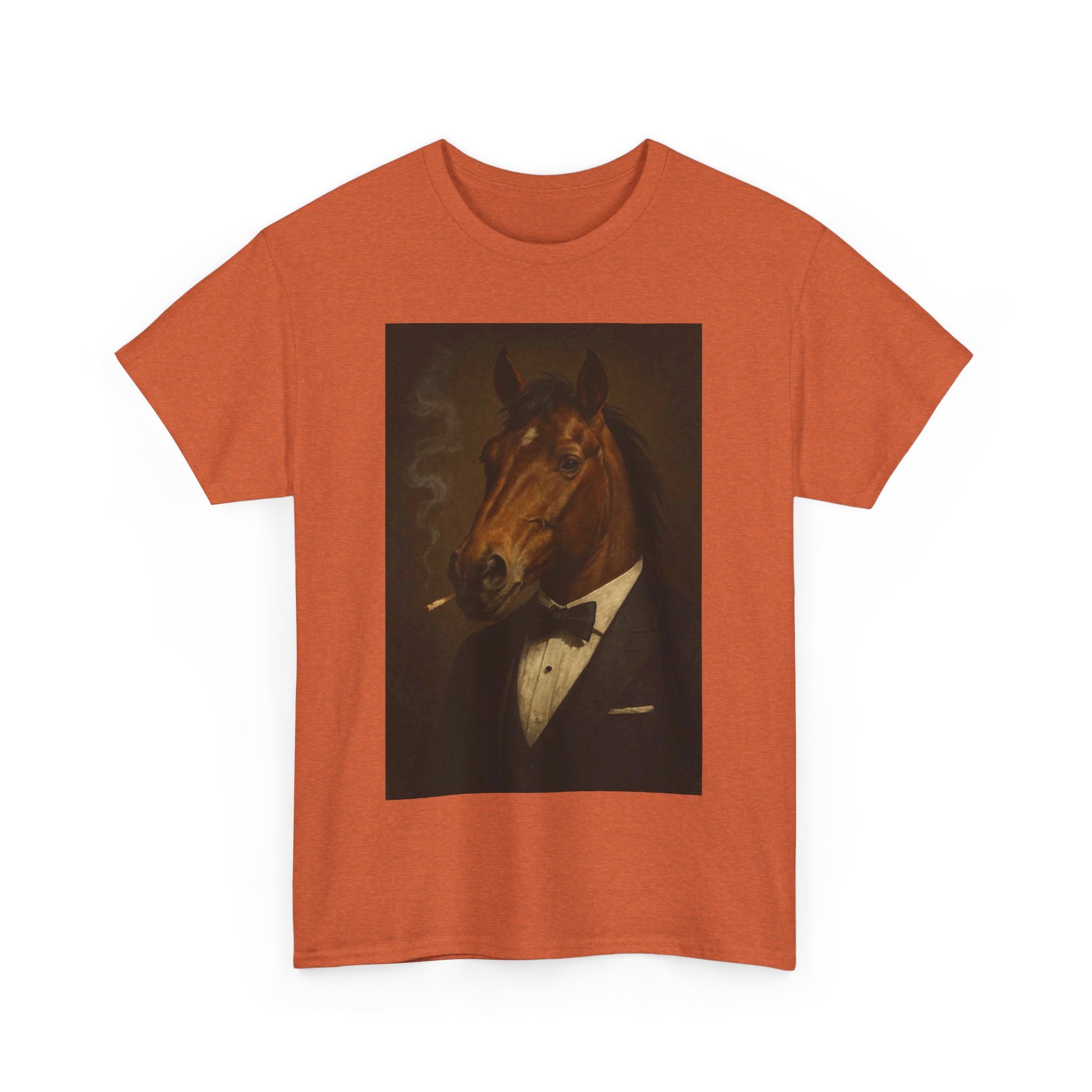 Dressage and Disdain